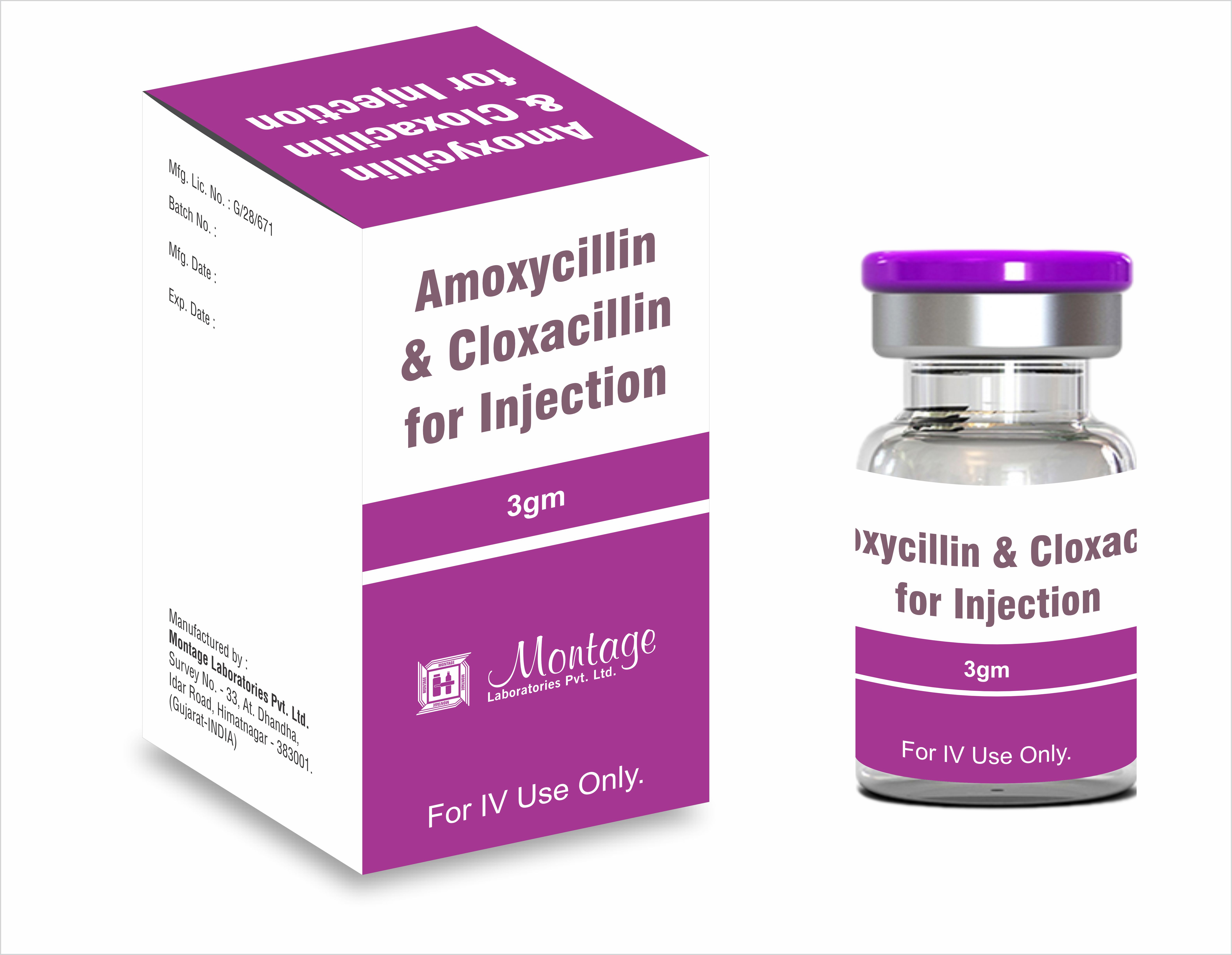 Amoxycillin + Cloxacillin Injection