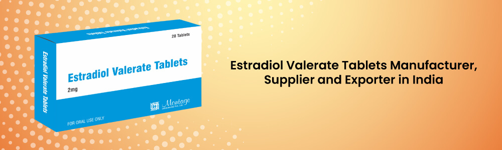 Estradiol Valerate Tablets Manufacturer, Supplier And Exporter In India